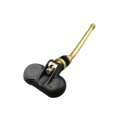 سیستم کنترل فشار تایر TPMS RV